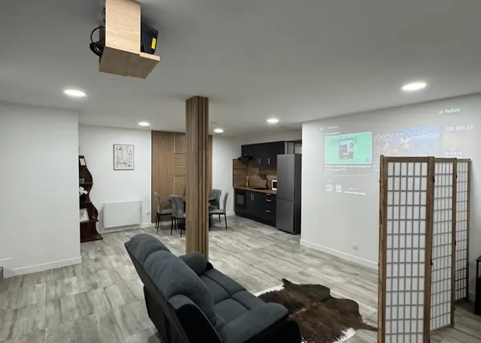 La Mirebalaise Appartement *