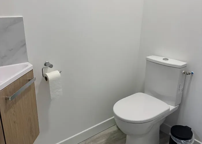 La Mirebalaise Appartement *